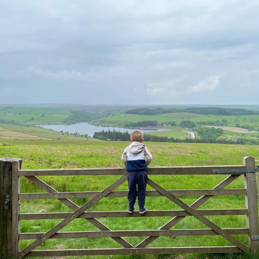 views of nidderdale