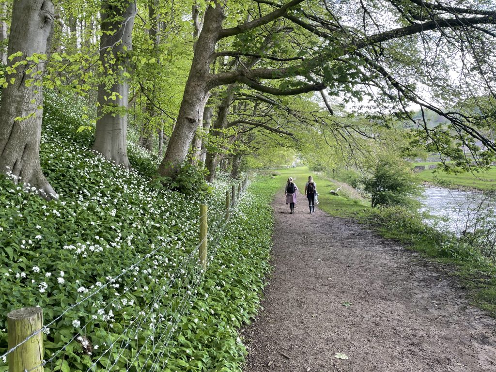 riverside walk, highlights of settle