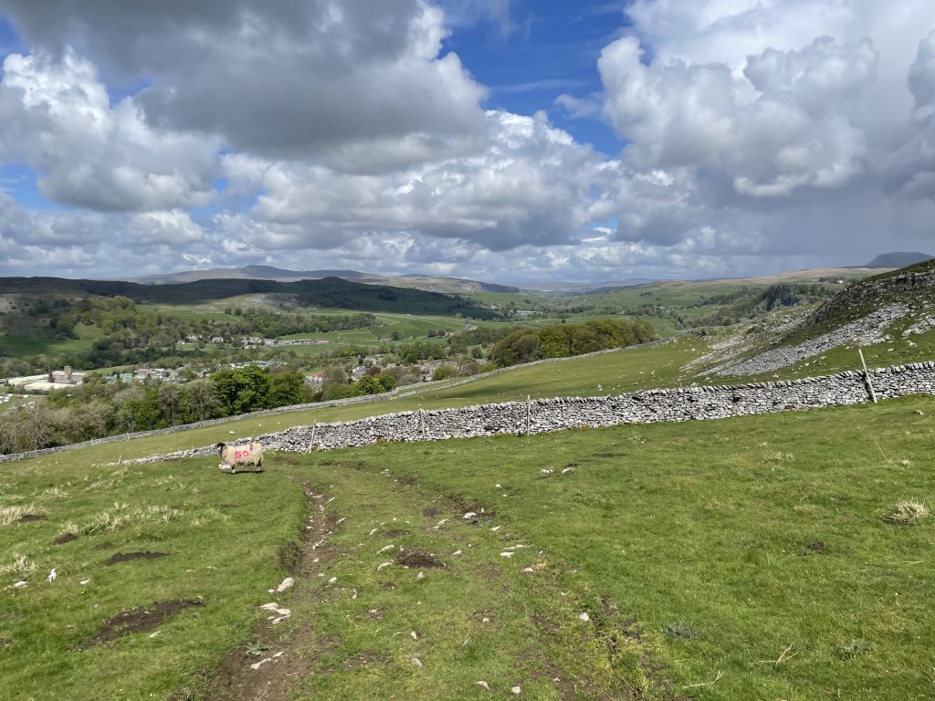 views across to pen-y-ghent