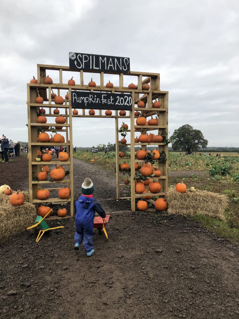 spilmans farming halloween event in north yorkshire