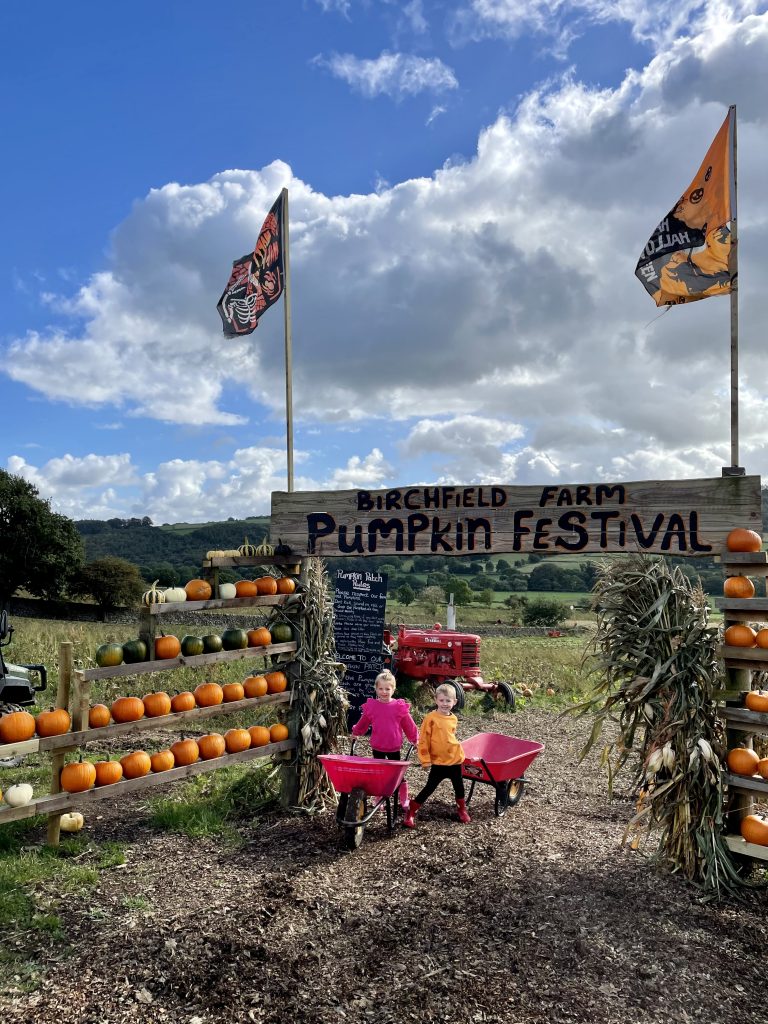 halloween events in Yorkshire - birchfield pumpkin festival