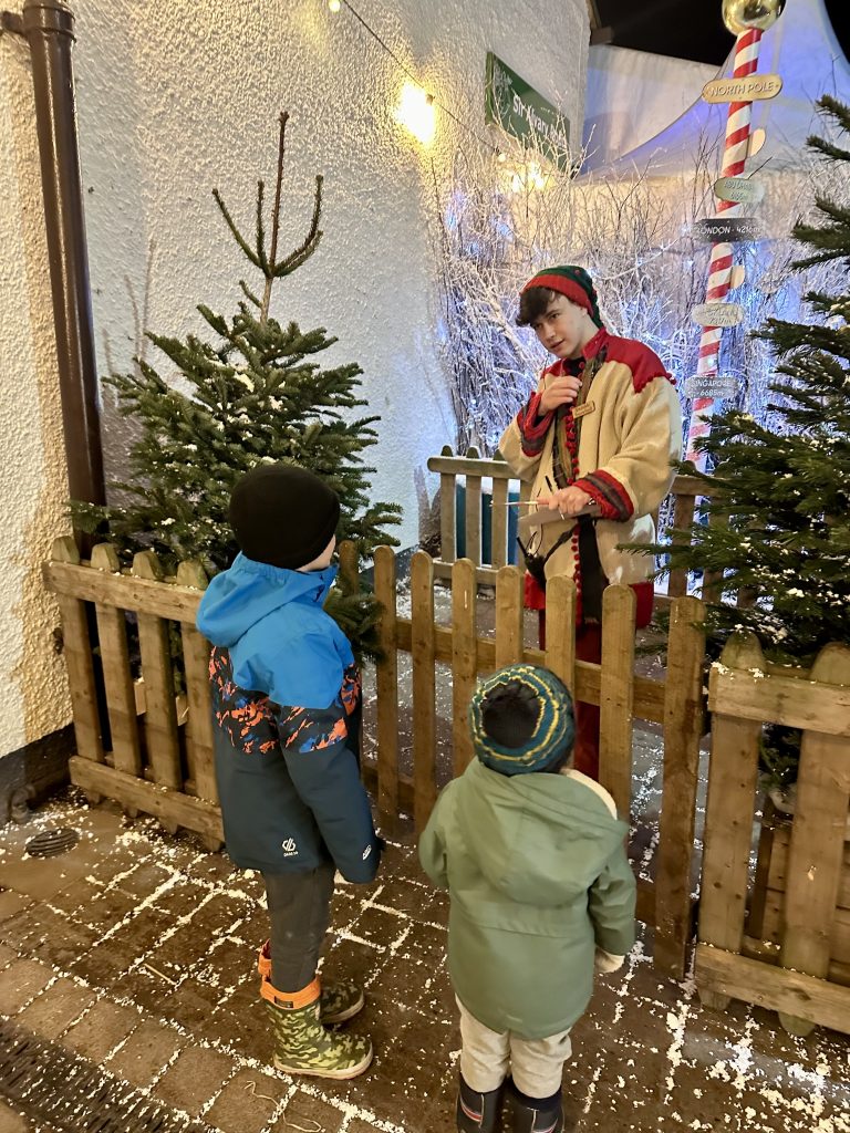 Lotherton Christmas Experience