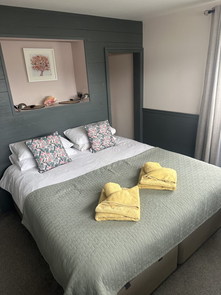 Dolphins in Widemouth Bay